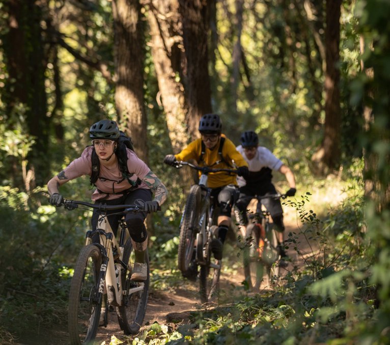 Isa, Chris und Rainer von bc fahren mit ihren Mountainbikes über einen Trail in einem Wald. Das Bild wurde aus der Frontalperspektive aufgenommen.