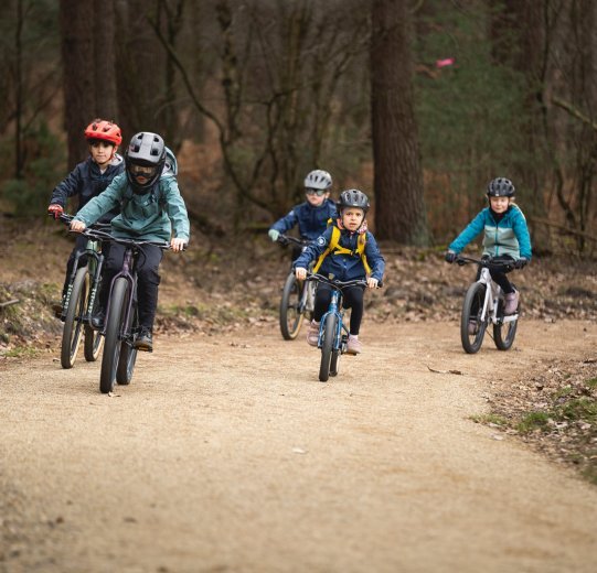 Fünf Kids unterwegs auf Mountainbikes. Sie fahren durch einen Wald über einen Schotterweg.