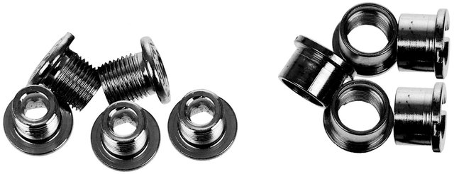 Race Face Chainring Bolts - black/outer
