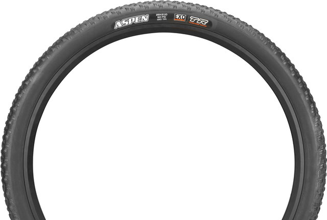 Maxxis Aspen Dual EXO TR 29" Folding Tyre - black/29x2.1