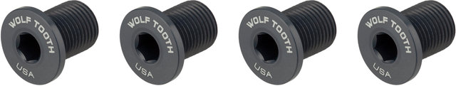 Wolf Tooth Components Kettenblattschrauben M8 Gewinde 4-Arm 10 mm - grey/10 mm