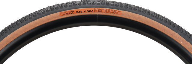 WTB Riddler TCS Light Fast Rolling 28" Folding Tyre - black-brown/37-622 (700x37c)