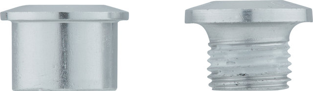 FSA Tornillos de plato 5 brazos - plata/universal