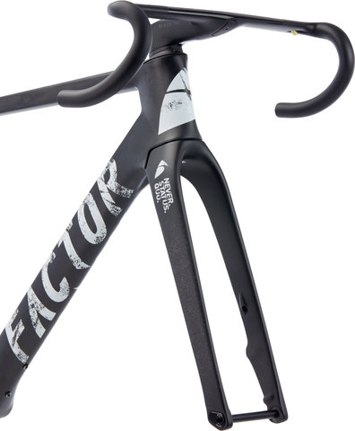 Factor OSTRO Gravel V.A.M. Disc T47a SRAM DUB Carbon Frameset - naked grunge/54 cm, 100 mm x 38 cm, SB 0 mm