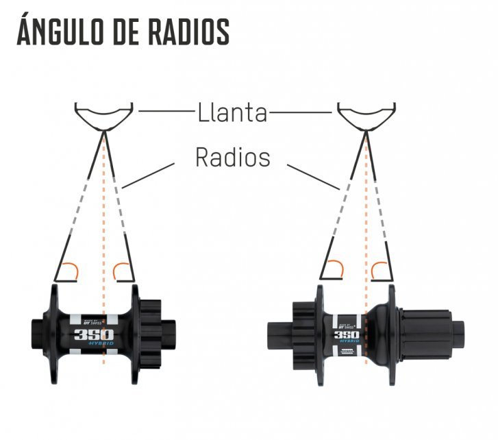 Laufradbau_Theorie_HowTo_Grafik_Speichenwinkel_mobil_es.jpg