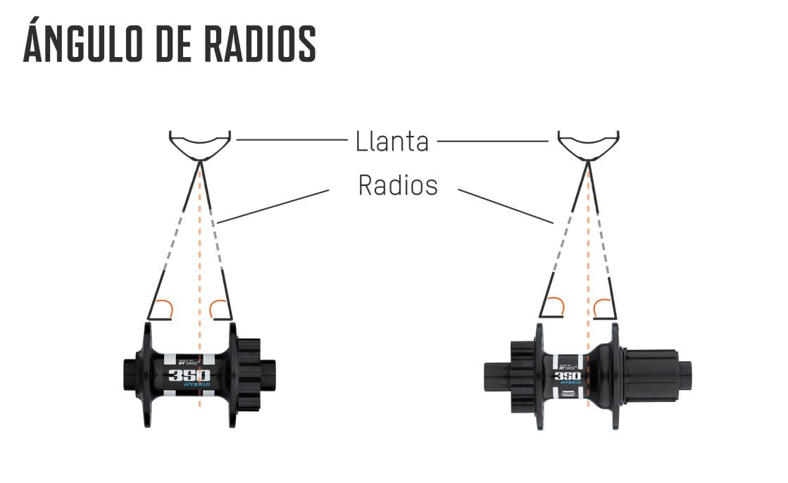 Laufradbau_Theorie_HowTo_Grafik_Speichenwinkell_es_dektop.jpg