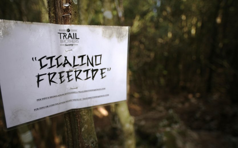 The Freeride Trailhead.