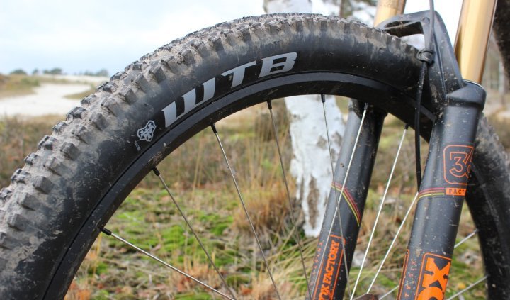 WTB Trail Boss TCS Light Fast Rolling 29", Liteville 301, Enduro