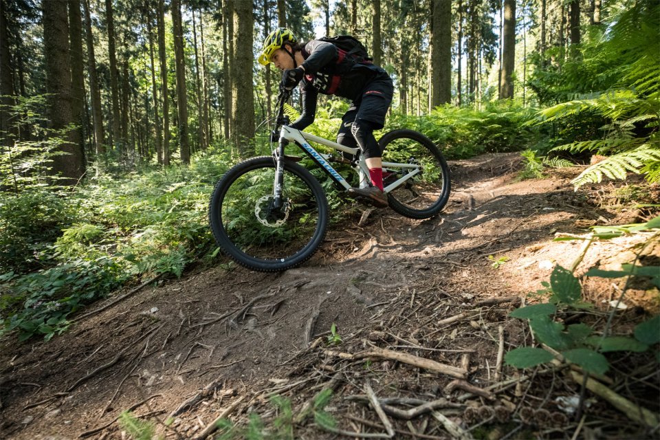 Mountainbiker in Kurve Waldboden Wurzeln