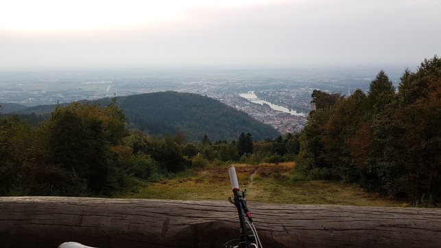 Hoch auf dem Königstuhl.