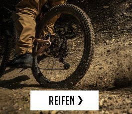 botb > reifen | 2026