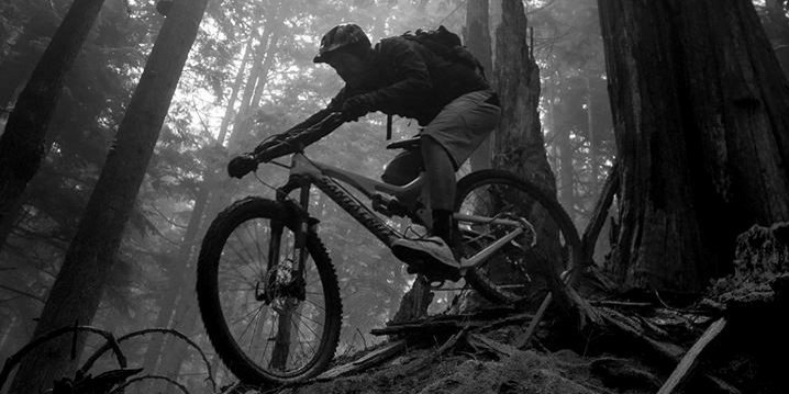 Die Wälder in British Columbia sind ein MTB Mekka.