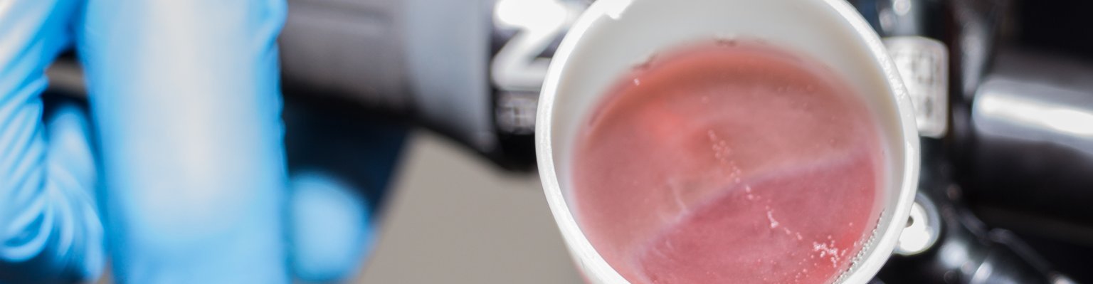 A small white funnel attached to the brake lever of a bicycle contains a pink fluid with air bubbles rising in it.