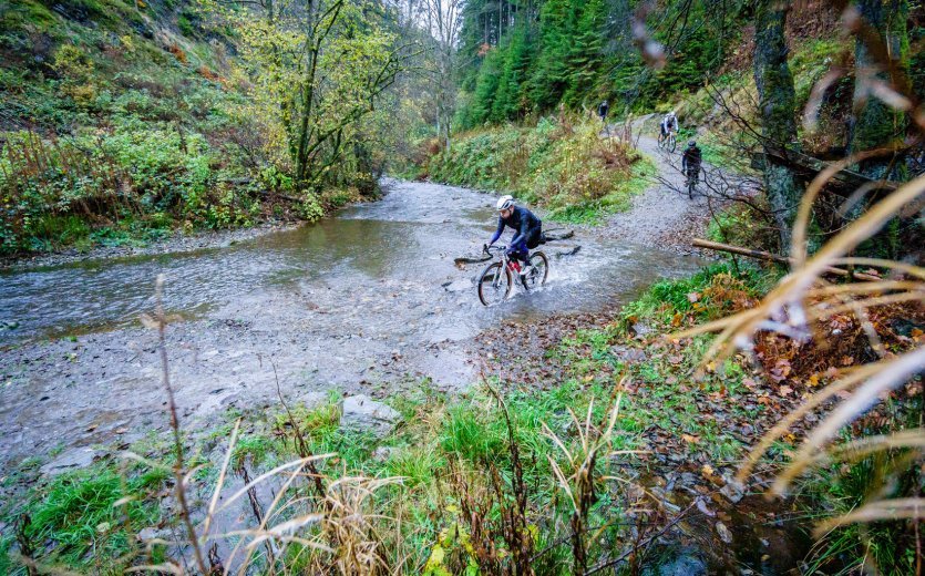 Individuelle Laufräder: Bau Dir Dein Laufrad für Dein Gravelbike