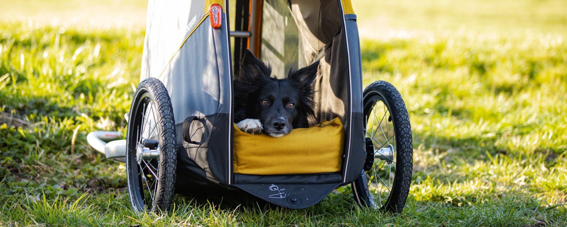 Croozer_Dog_Peppa_Hundeanhaenger_Fahrrad_Testbericht_Schlussbild_Desktop.jpg