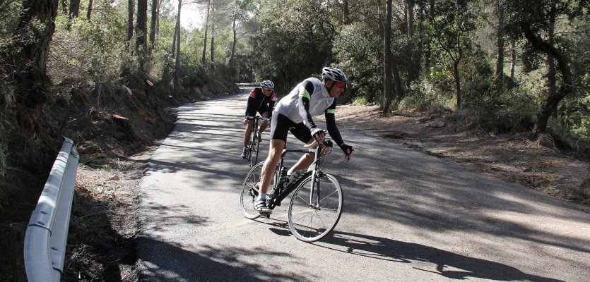 bike-components Trainingslager Mallorca Tipps