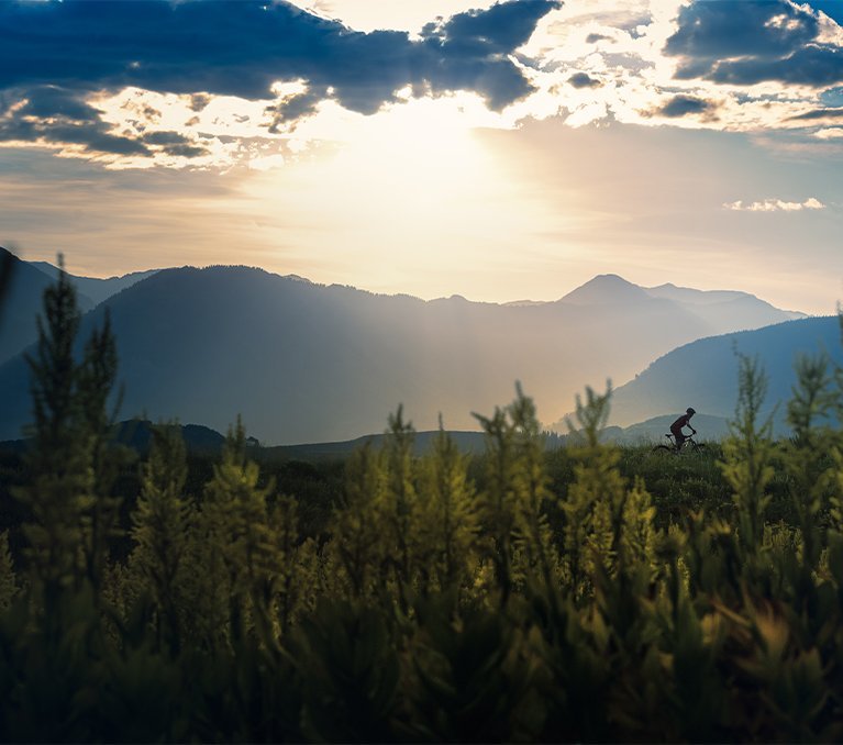 Mountainbiker auf Grad im Wald bei Sonnenuntergang