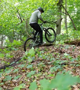 Tester Berno fährt mit einem E-MTB bergauf über einen Baumstamm und hebt dabei das Vorderrad an
