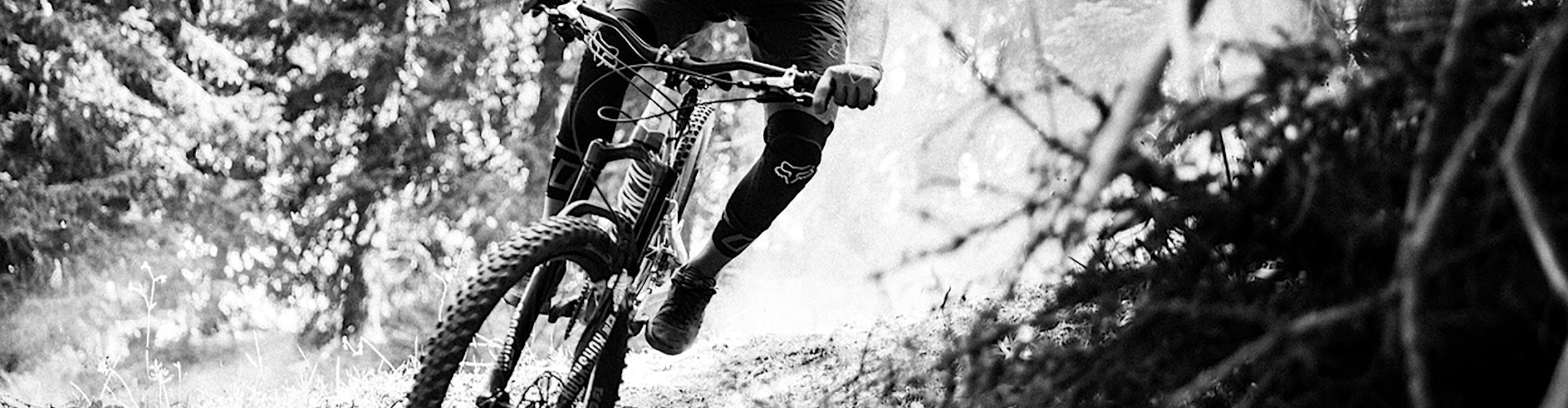 Desktop_Fox_Protektor_SP20_MTB_Morzine_France_Dooley-945 (1) Kopie.jpg