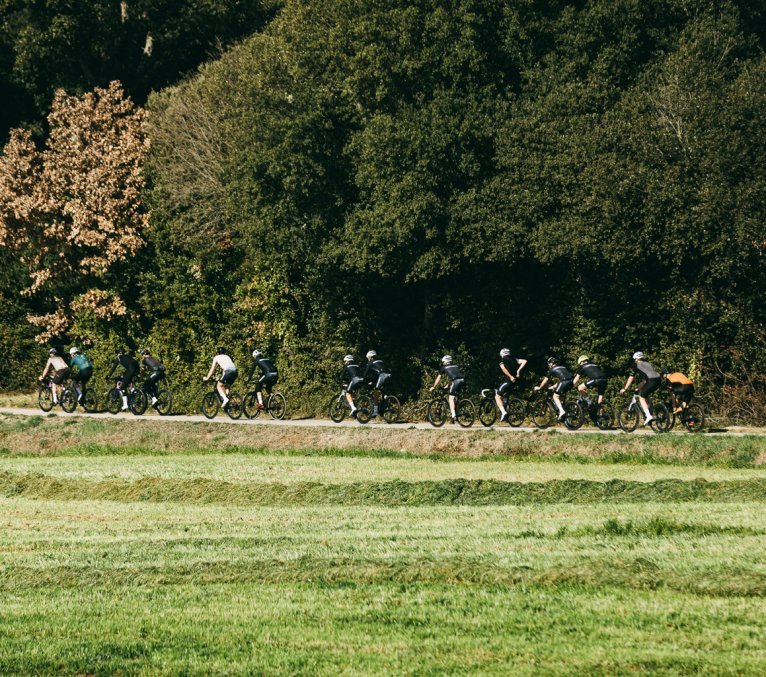Eine Gruppe Rennradfahrer:innen bei sonnigem Wetter. 