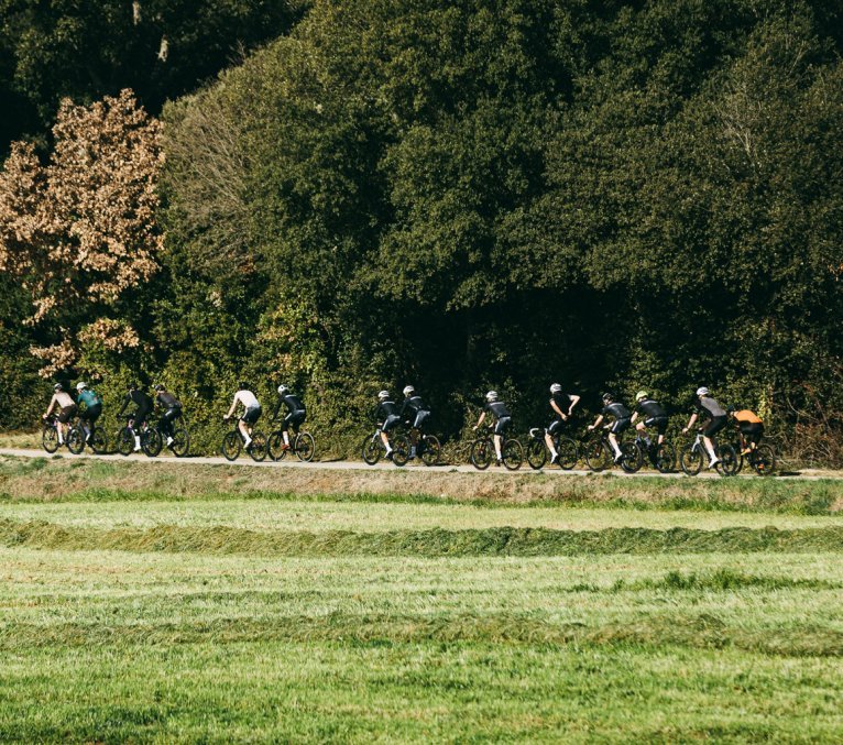 A group of road cyclists in sunny weather. 