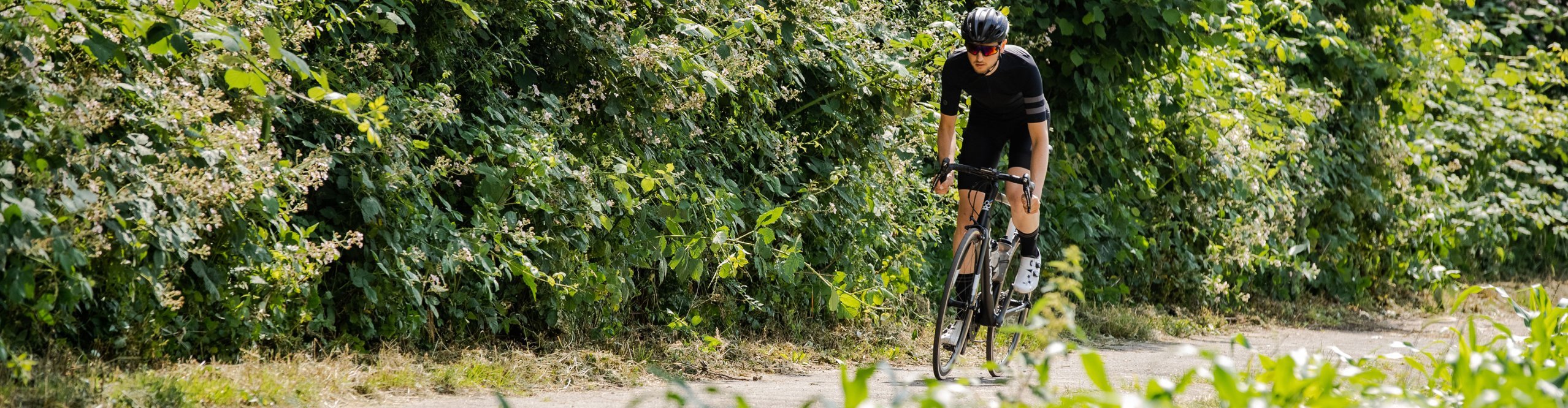 Rennradfahrer sprintet im Grünen