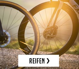 ttir > reifen | 2026