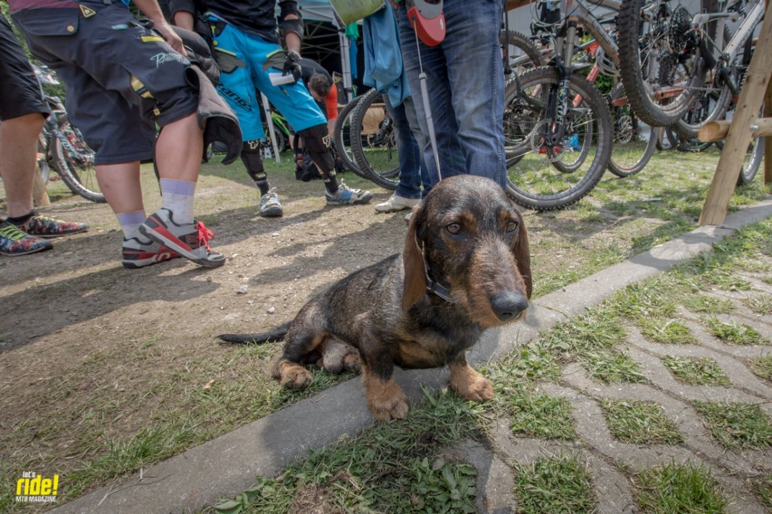 TrailTrophy Breitenbrunn 2015