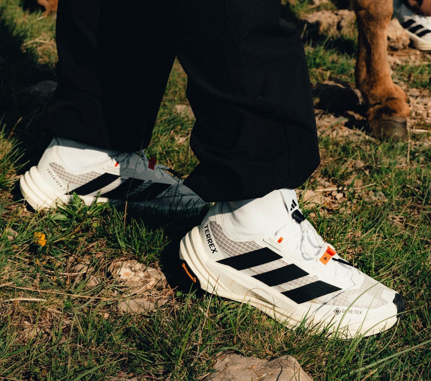 White adidas Terrex Free Hiker hiking shoes with GORE-TEX and Continental outsole on a rocky forest trail.
