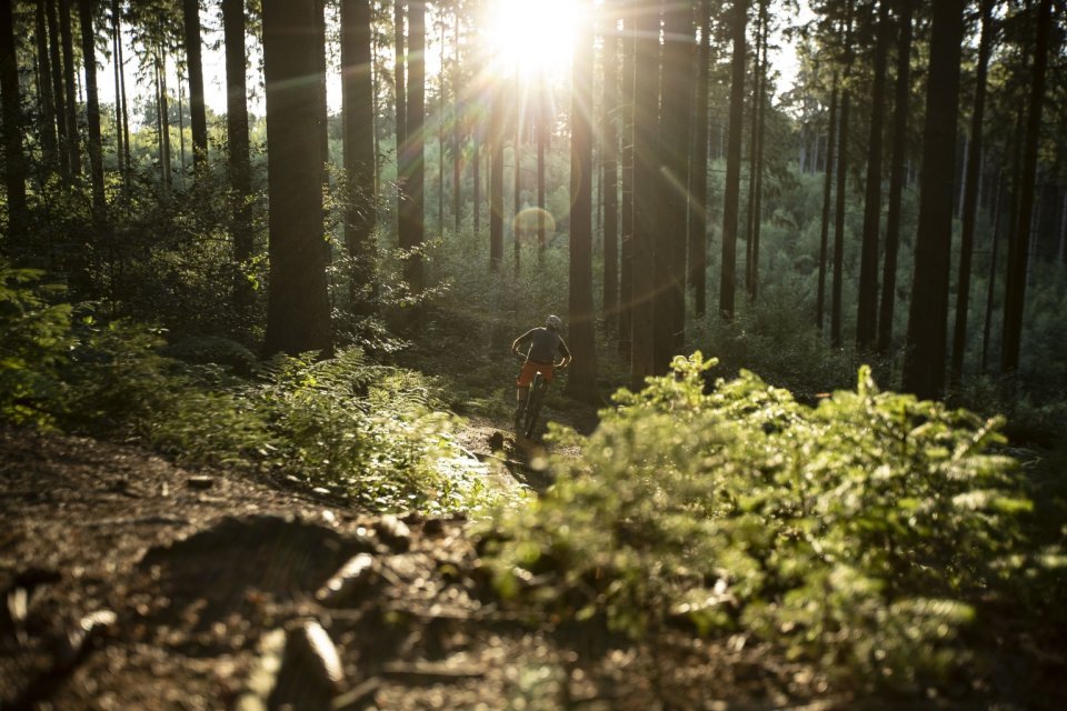 Feierabendrunde MTB Trail Sonnenuntergang Spätsommer Herbst