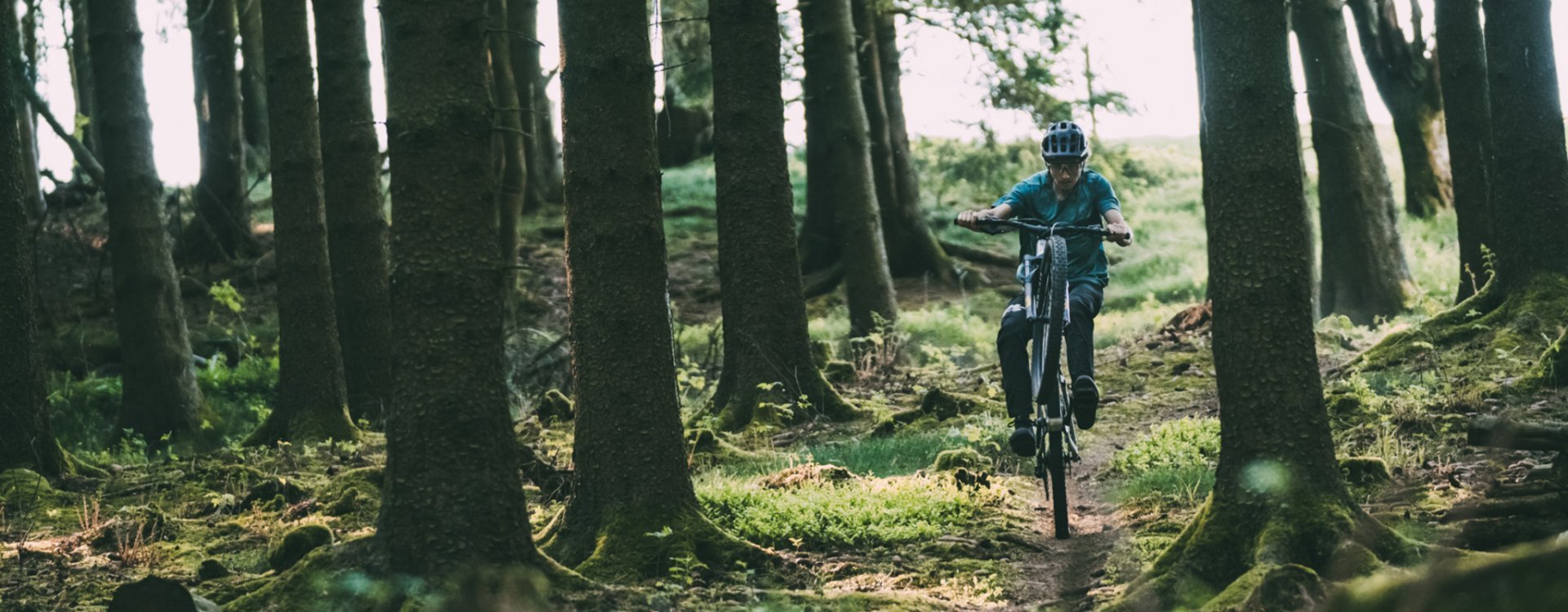 Christoph von bc macht bergab einen Wheelie auf einem Mountainbike über einen Waldtrail.