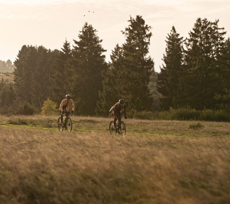 Zwei Gravelbiker fahren in herbstlicher Landschaft über Wiesenwege an der Dreiborner Höhe, umgeben von hohen Tannen, bei warmem Abendlicht