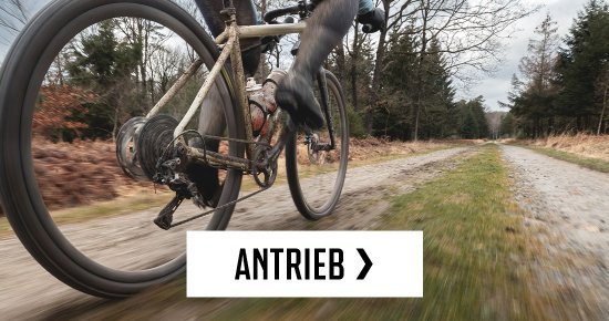 botb > antrieb | 2026