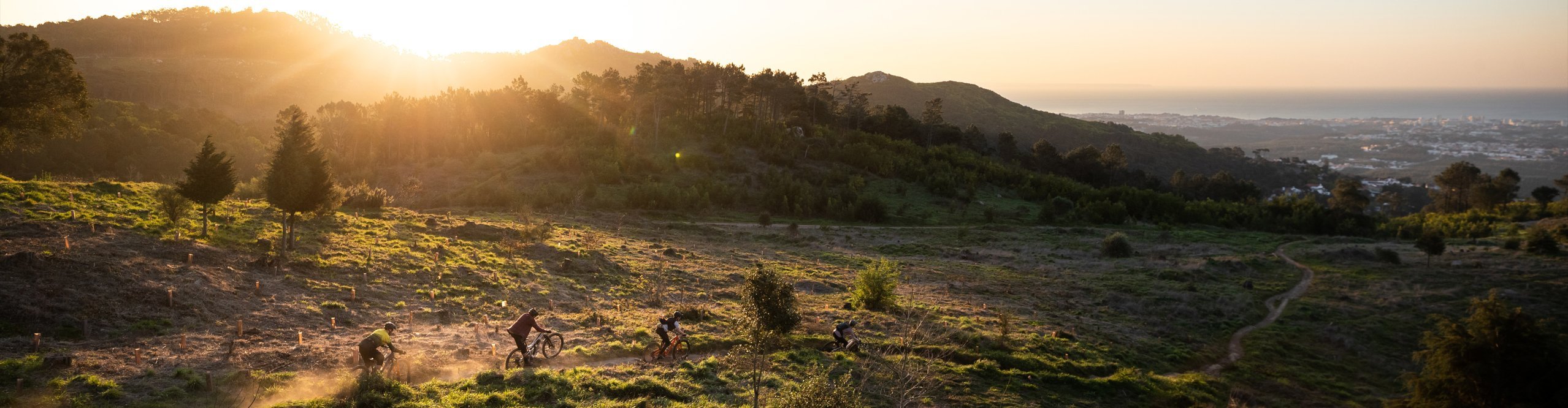 4 Mountainbiker im Sonnenuntergang auf Trail