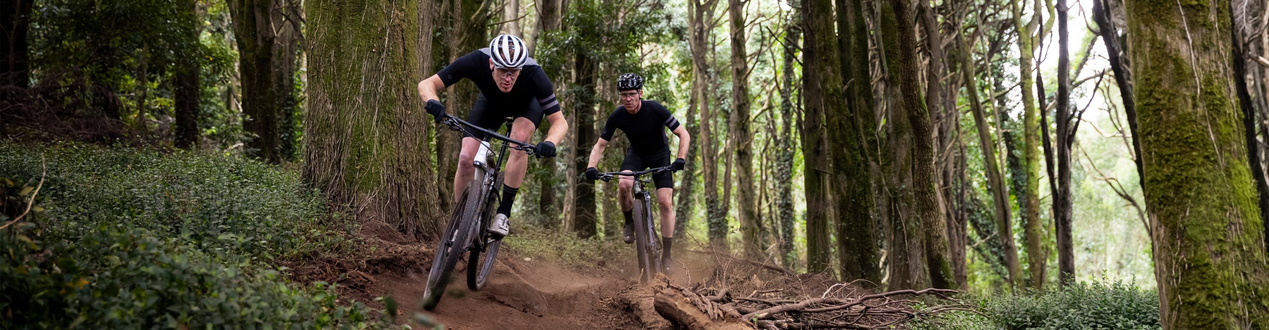 where to buy cannondale bikes online