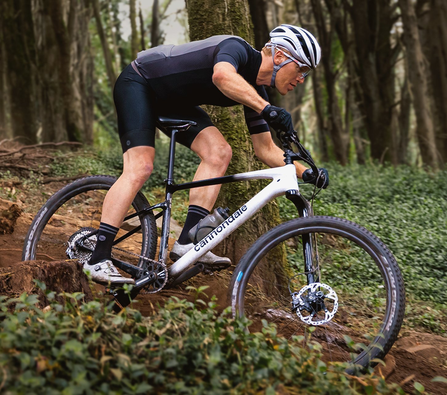 where to buy cannondale bikes online