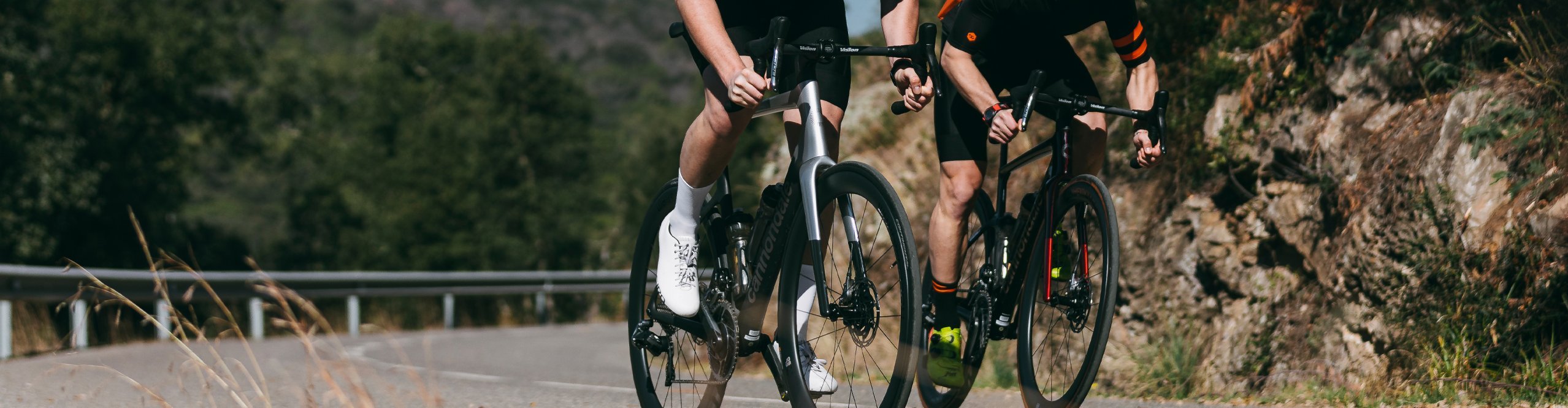 where to buy cannondale bikes online