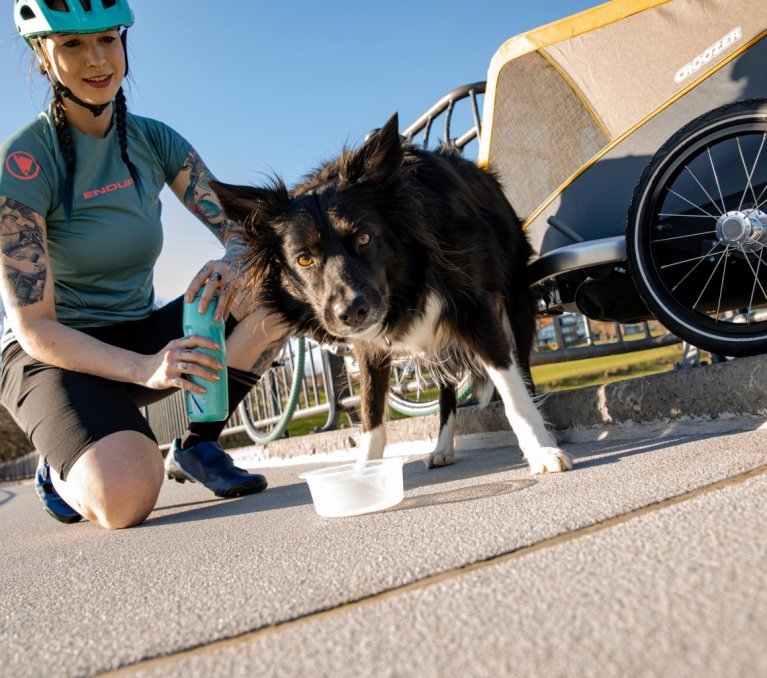 Remorque vélo chien : un voyage facilité avec la Carry'Dog !