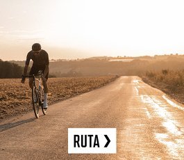 ttir > roadperformance | 2026 | es