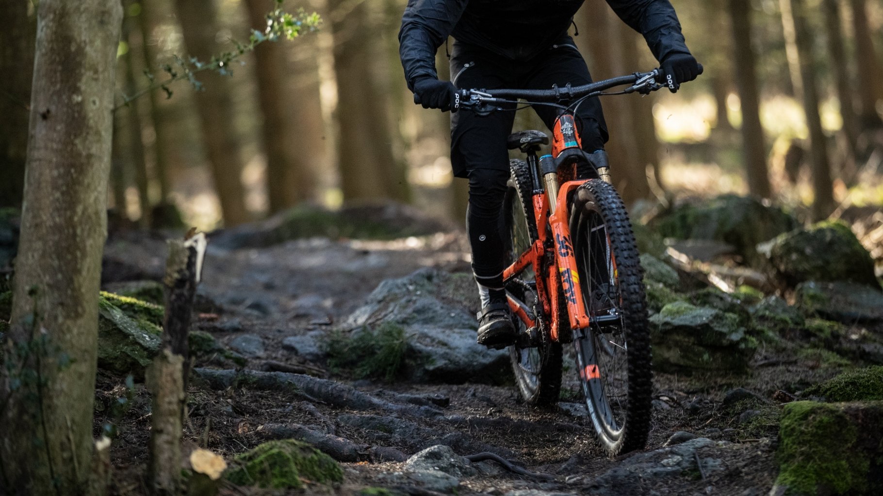 Bike Trail Reifen Wald Abfahrt 