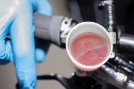 A small white funnel attached to the brake lever of a bicycle contains a pink fluid with air bubbles rising in it.
