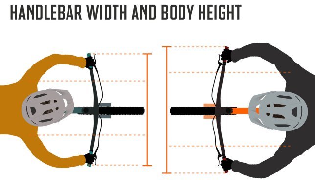 Ergonomie_MTB-Lenker_Infografik_02_Lenkerbreite_EN.jpg