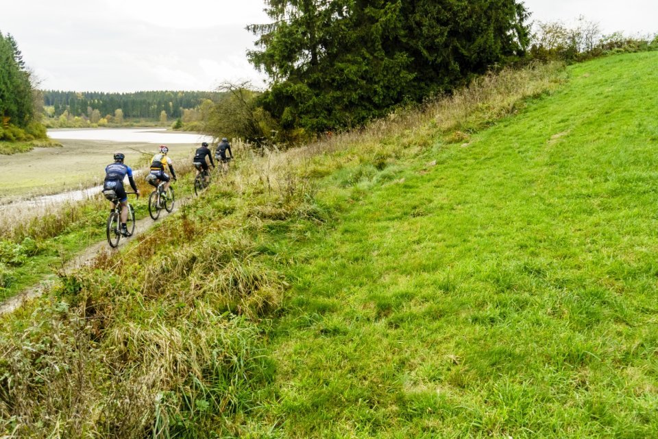 Single track riding through beautiful nature.