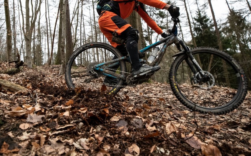 Mountainbiker Laub Kurve Waldboden