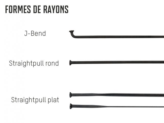 Infografik_Speichenformen_FR.jpg