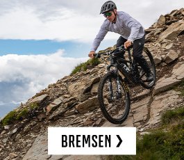 ttir > bremsen | 2026 | de