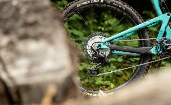 Blick auf die Antriebsseite eines Mountainbikes im Wald.