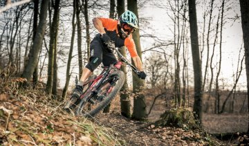 Mountainbike Kurve Wald Laub