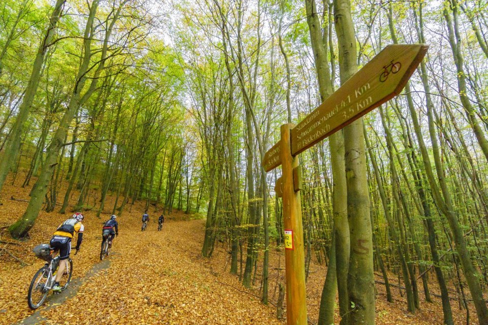 Herbst in seiner schönsten Form.