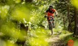 10 Jahre TrailTrophy – Organisator Thomas Schlecking im Jubiläums-Gespräch